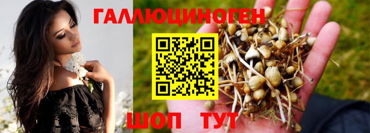 Мурманск  наркотики  Вход с VPN  Галлюциногенные грибы Magic Shrooms  Галлюциногенные грибы Psilocybe 